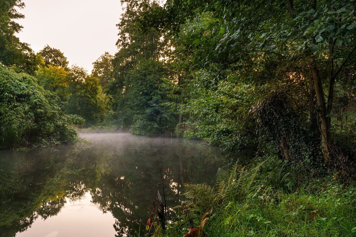 early morning mist on the River Wey at Godalming English Garden magazine Surrey