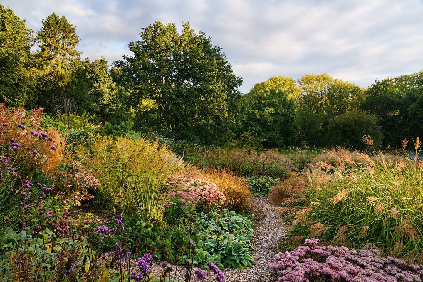 prairie style planting borders with sedum grasses and verbena in autumn English Garden magazine Surrey