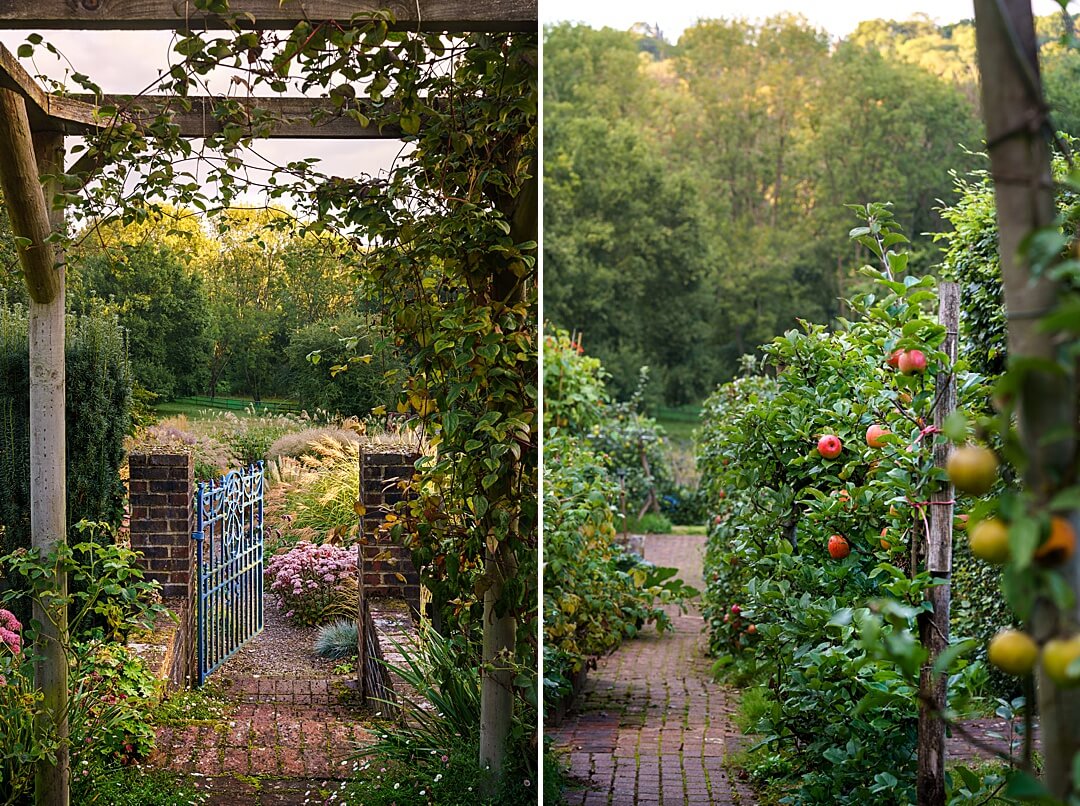 pergola with blue garden gate and espalier apple trees English Garden magazine Surrey