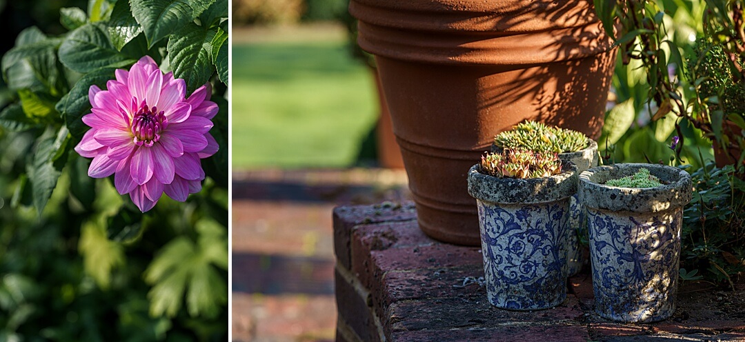 decorative plant pots and dahlias in autumn