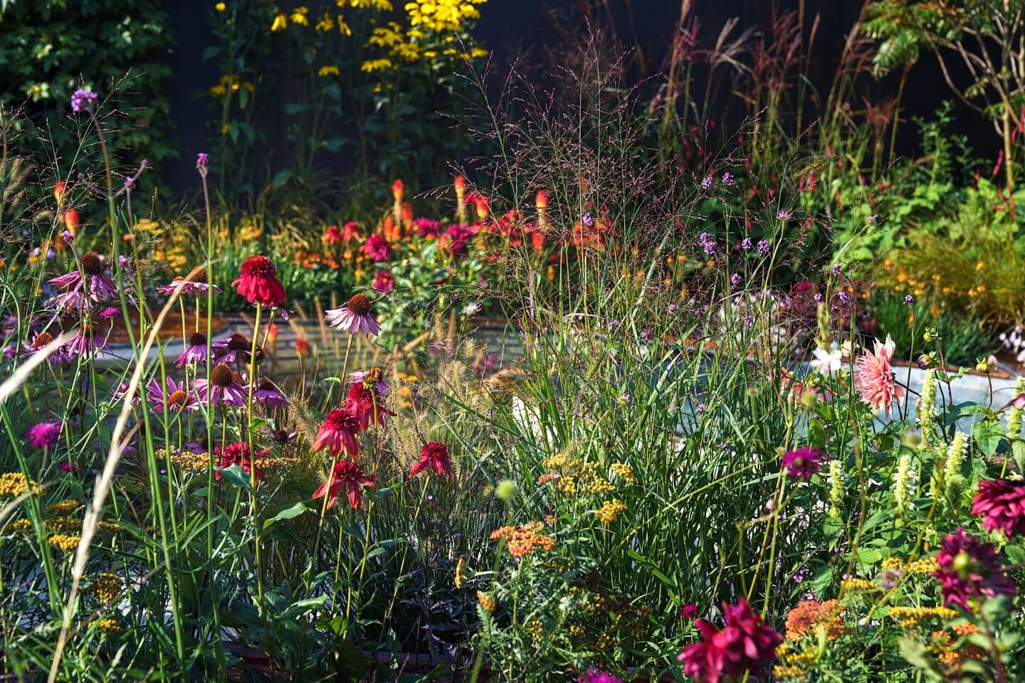 multicoloured autumnal planting garden photography RHS Chelsea