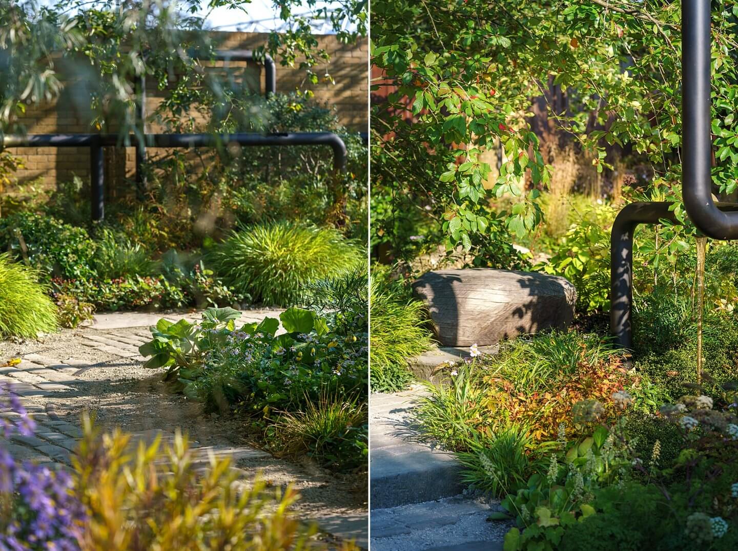 M&G garden RHS Chelsea autumn planting ideas