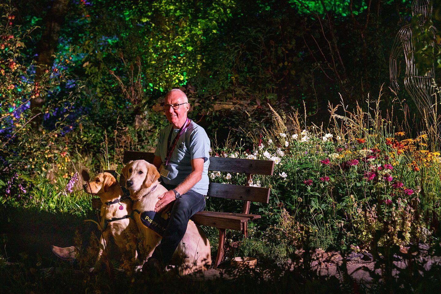 Guide Dogs 90th Anniversary Garden in the Artisan Gardens of Chelsea Flower Show 2021 as seen after dark