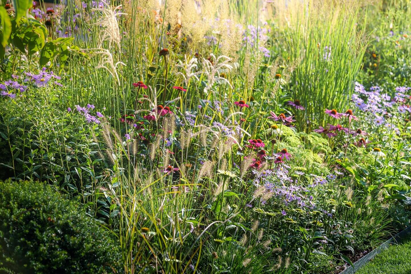 florence nightingale nursing garden with naturalistic planting and autumnal grasses