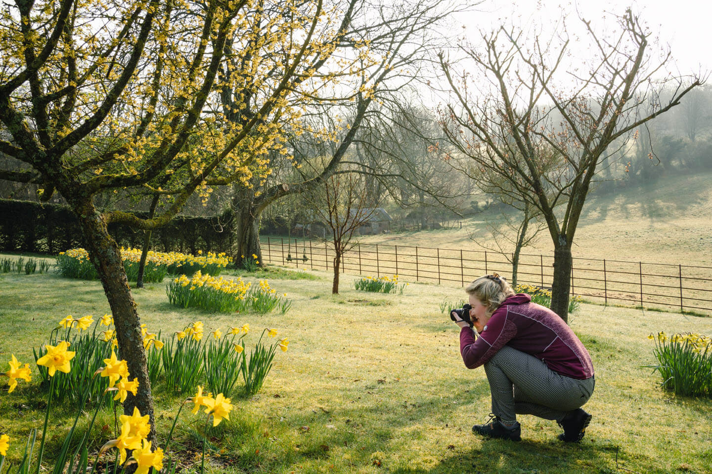 garden photographer with Spring flowers