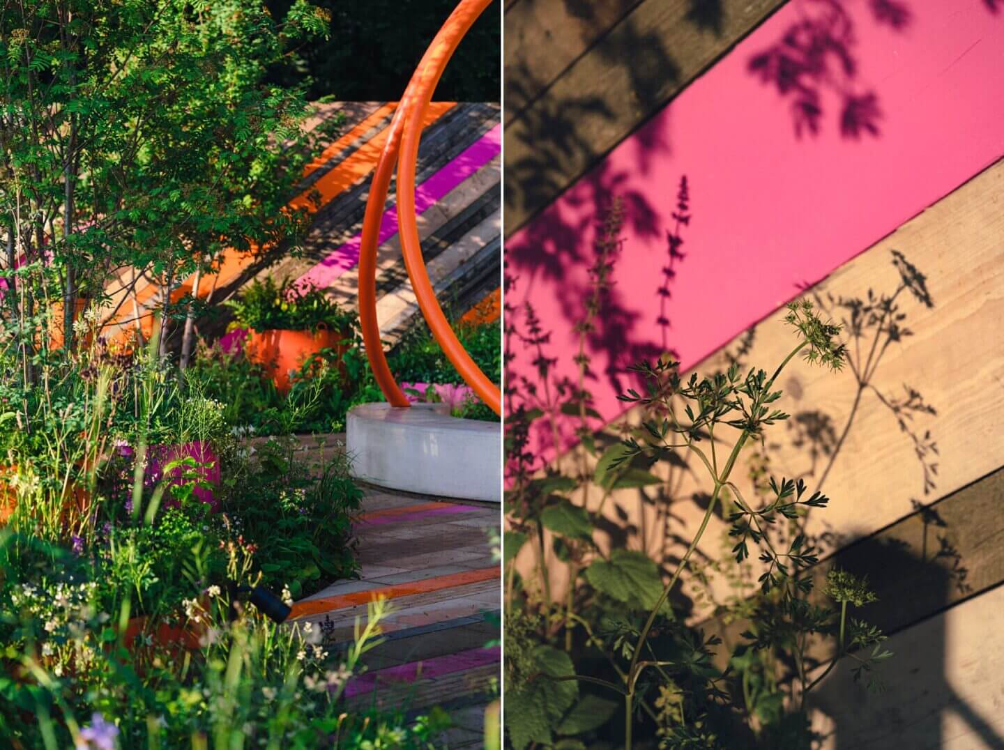 Plant combinations and shadows at sunset RHS Chelsea