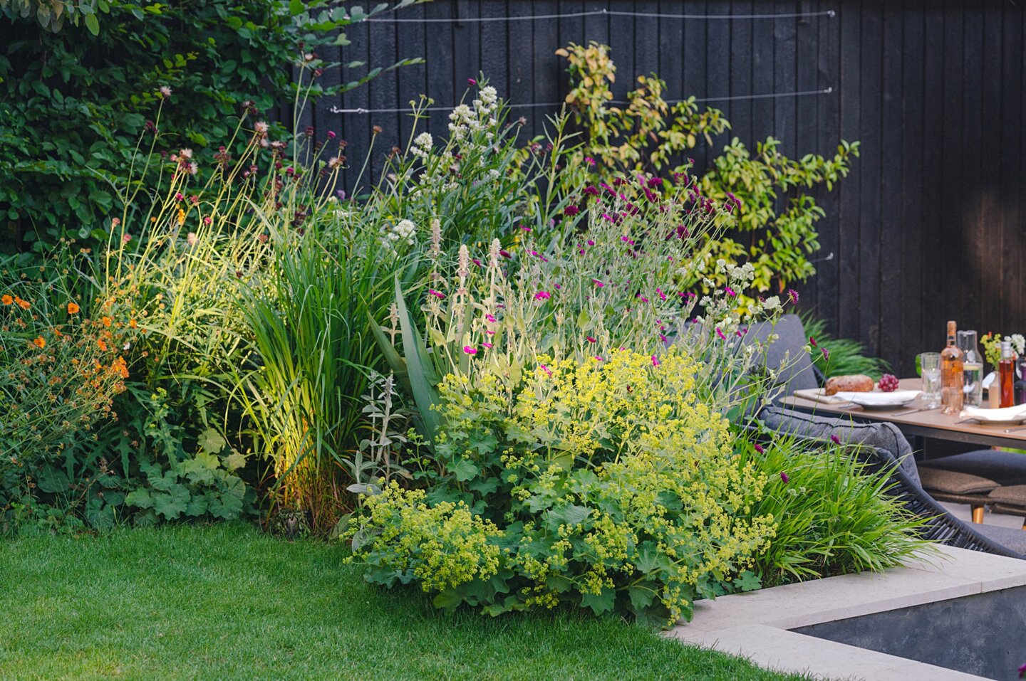 Plant combinations in midsummer with lime green, orange and purple