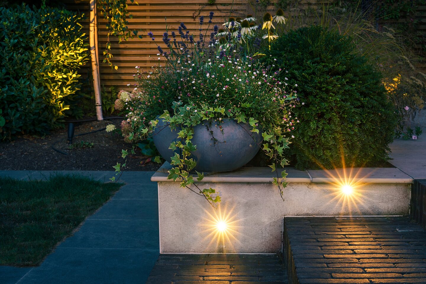 Recessed wall-mounted garden lighting to show outdoor steps, design by Helen Rose Wilson