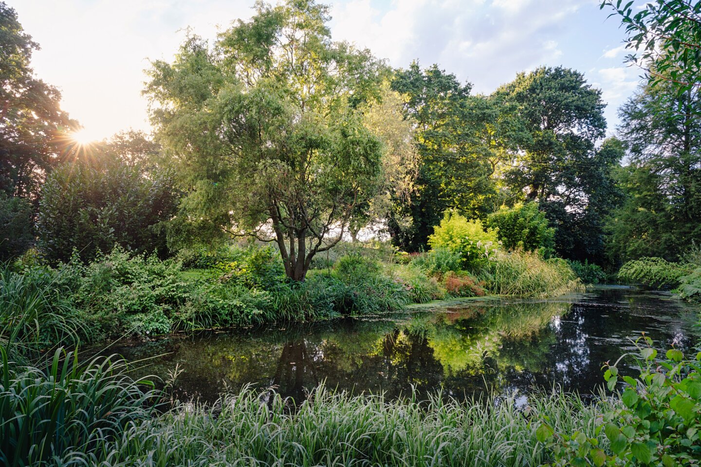 The first of a series of ponds in the Water Gardens, Beth Chatto