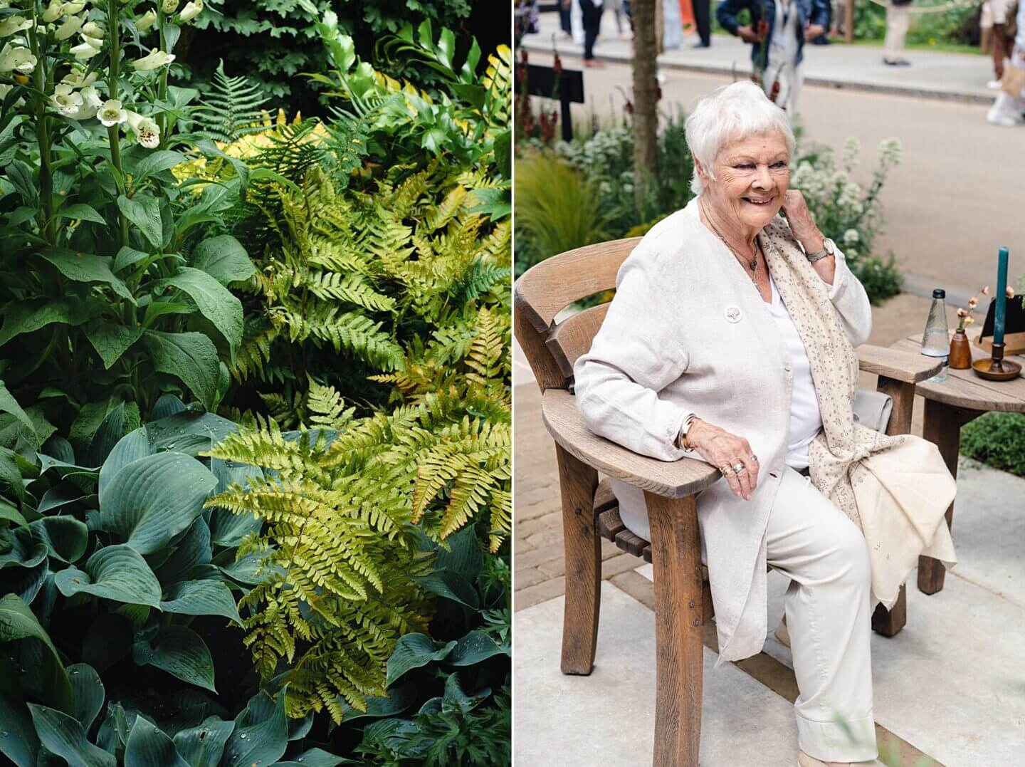 Gaze Burvill stand with planting by Will Williams and visited by Dame Judi Dench