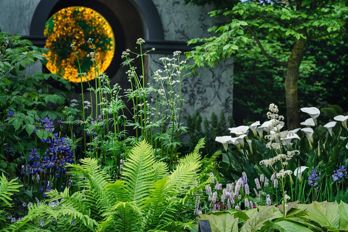 Chris Beardshaw's show garden for Myeloma UK