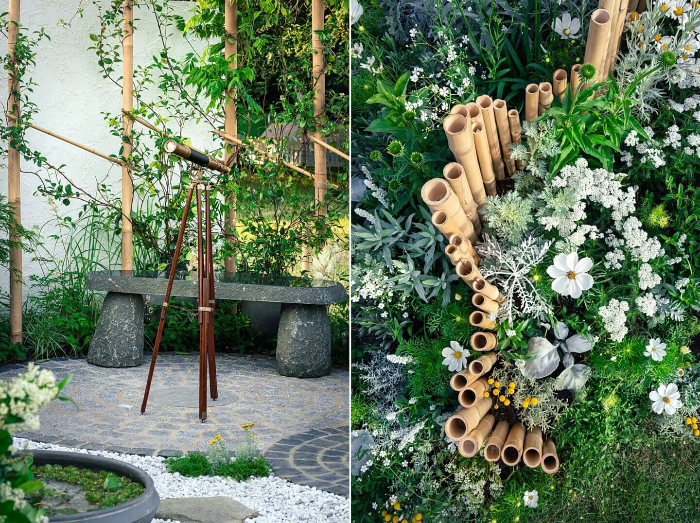 Milky Way pattern of bamboo poles and white Cosmos with telescope for Queenie Chan's Lunar Garden