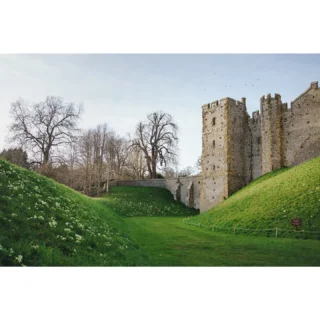 Primroses stud the dry moat banks of Arundel Castle in West Sussex - look carefully and you’ll see all the emerging tulips that are ready to burst into life in a matter of days! The @gdnmediaguild were in a very privileged position at Spring Equinox - having a little pre-season tour of this wonderful place. Under the expert guidance of head gardener Martin Duncan (the wildfowl love him - see photo evidence), these gardens have developed and flourished. I was really excited to see the brand new stumpery laid out and ready for plant life to take root amongst the wood - a fabulous haven for insects, birds, wildlife and plant life, and what a backdrop!!
You’ll also spot the espalier apple trees in the kitchen garden; another medieval stew pond uncovered and given a new lease of life for the benefit of wildlife and for educational visits; yew topiary trimmed to echo the gothic turrets of the cathedral behind; and Tilly the 17-yr old castle cat 😻
•
@arundelcastleuk is now open for visitors! Don’t miss the excellent exhibition across the road in Arundel Museum, detailing the history of the castle gardens to the present day. It’s well worth seeing!
•
#arundelcastle #visitsussex #visitengland #castlegardens #formalgarden #stumpery