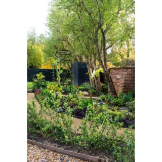 This truly excellent, multi-purpose garden by @mark_payne_landscape_design_ transitions effortlessly from the tulips and wisteria of Spring, to the hazy days of summer. Incorporating a tropical feel to the planting, it plays with traditional expectations for an English cottage garden… One of my favourite features is the series of moon gates, inviting you through the different spaces in the garden. Maintained beautifully by @payneandford.
•
#cottagegarden #gardendesign #tulips #thatchedcottage #tropicalplant #poolgarden